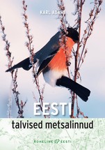 Eesti talvised metsalinnud
