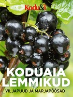 Koduaia lemmikud. Viljapuud ja marjapõõsad