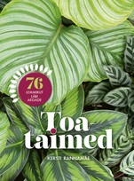 ​Toataimed. 76 lemmikut läbi aegade
